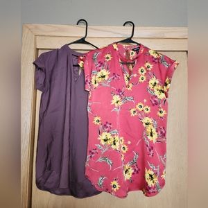 Express V-neck Bundle